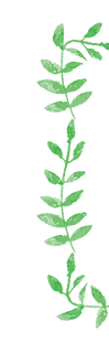 Plant Wreath 3
