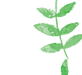 Plant Wreath 3