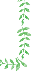 Plant Wreath 3