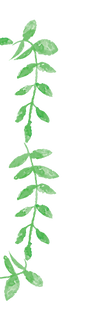 Plant Wreath 3