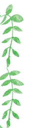 Plant Wreath 3