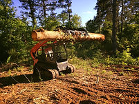 skid steer with grapple attachment