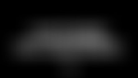 CREW LEADER NON-NEGOTIABLES