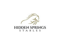 HSS Logo.jpg