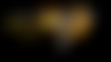 Oscar 2017 | Confira a lista dos ganhadores