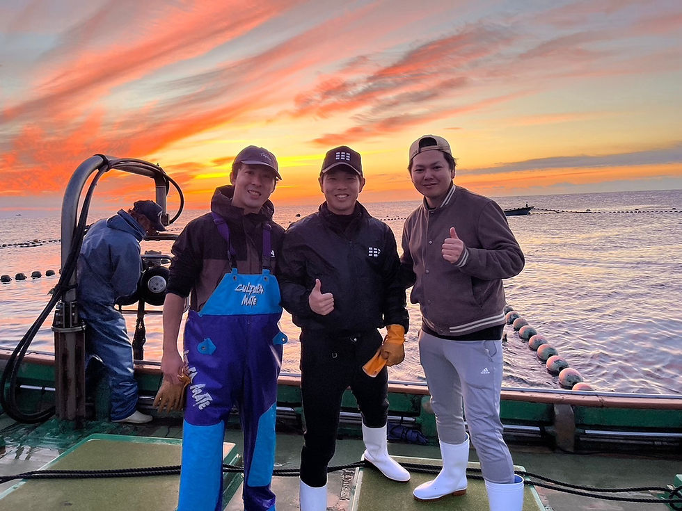 エー・ピーホールディングス