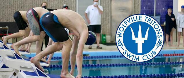 Untitled design (35).png