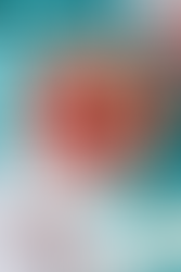 February Munchie - Cheesecake Stuffed Strawberries