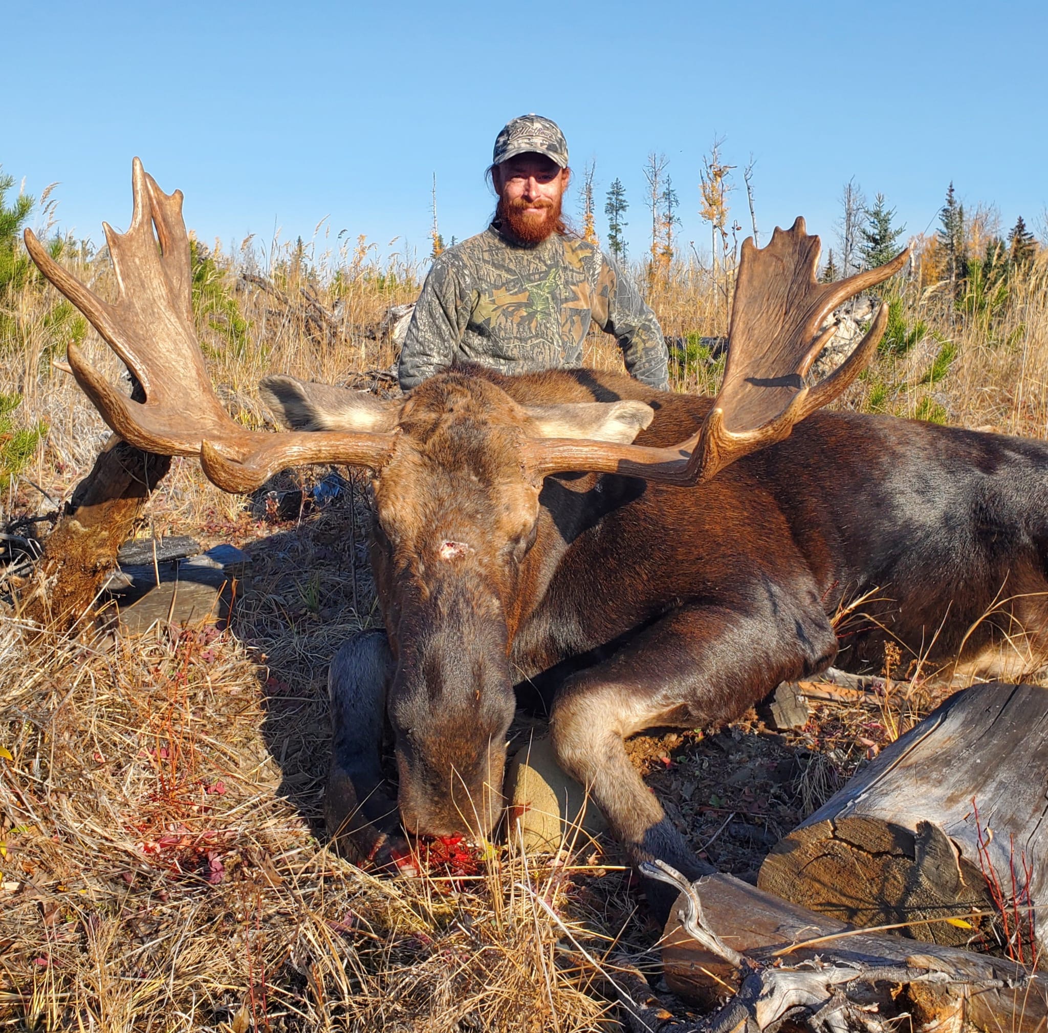 Chasse au cerf de Virginie — Bakers Adrenaline Outfitting – Bakers Adrenaline Outfitting