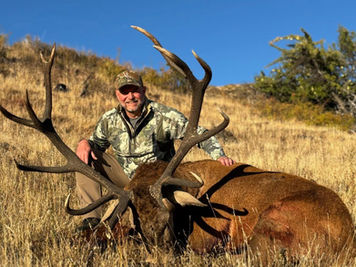 Why Patagonia is the Ultimate Destination for a Red Stag Hunt