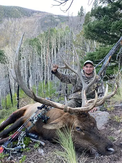 Bull-on-Ridge.webp