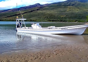 20210204_190008_edited.jpg