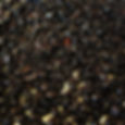Soaked coffee beans in #whiskey for a day and a half, let them dry out, then made a pot of coffee wi