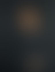 Evidence of the Old Masters and the Renaissance in Whistler's paintings