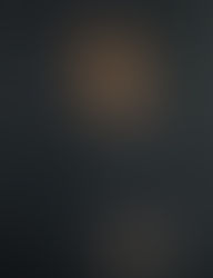 Evidence of the Old Masters and the Renaissance in Whistler's paintings