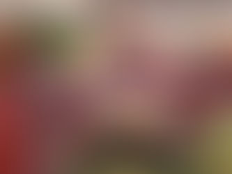 خبير يتوقع نجاح قطر في مواجهة التضخم