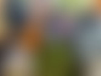 تعطل سلاسل الإمداد يضع دول الخليج أمام تحديات الأمن الغذائي