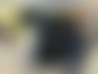 الصناعات الدفاعية "التركية - الإماراتية" تدخل مرحلة الإنتاج المشترك