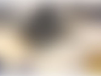 الشركات التركية تقدم حلولها الدفاعية للأنظمة الجوية غير المأهولة في معرض "موصياد إكسبو إسطنبول"