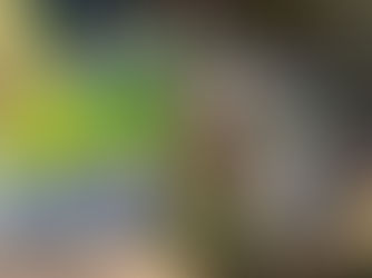 مساعٍ لتعزيز الاستثمارات المستدامة في سلطنة عُمان