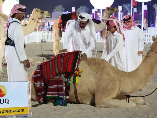 التراث الخليجي يجذب هواة الاستكشاف