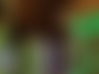 "إكسبو الدوحة" يحتفي بعجائب الدنيا