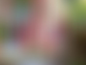 بطولة "كأس آسيا" تُنعش السياحة القطرية