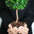 Business Growth_edited.png