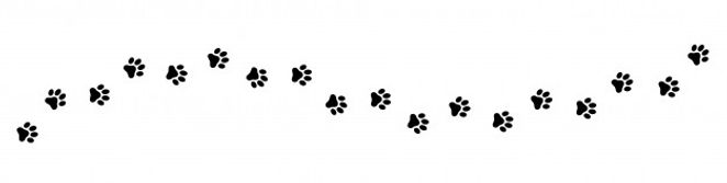 empreinte-patte-chat-chien-chiot-animal-