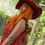 Thumbnail: Exotic Model in African Print Floppy Hat