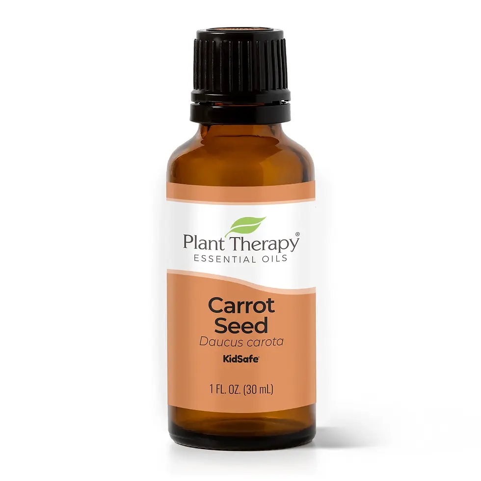 Plant Therapy Carrot Seed Essential Oil – Natural Health Products at The Natural Life Singapore