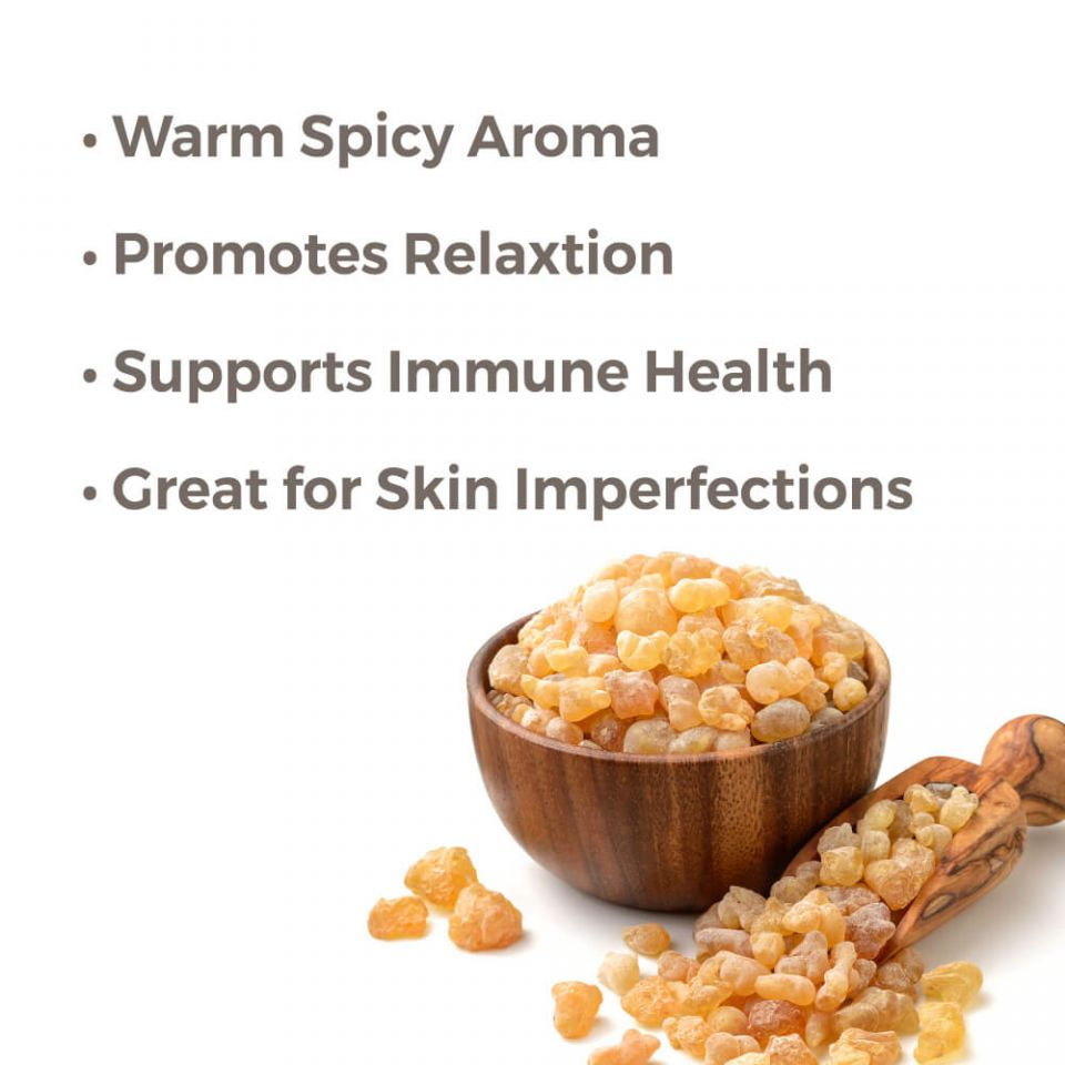 Thumbnail: Plant Therapy Fantastic Franks Essential Oil Blend – 100% Pure & Natural | The Natural Life Singapore