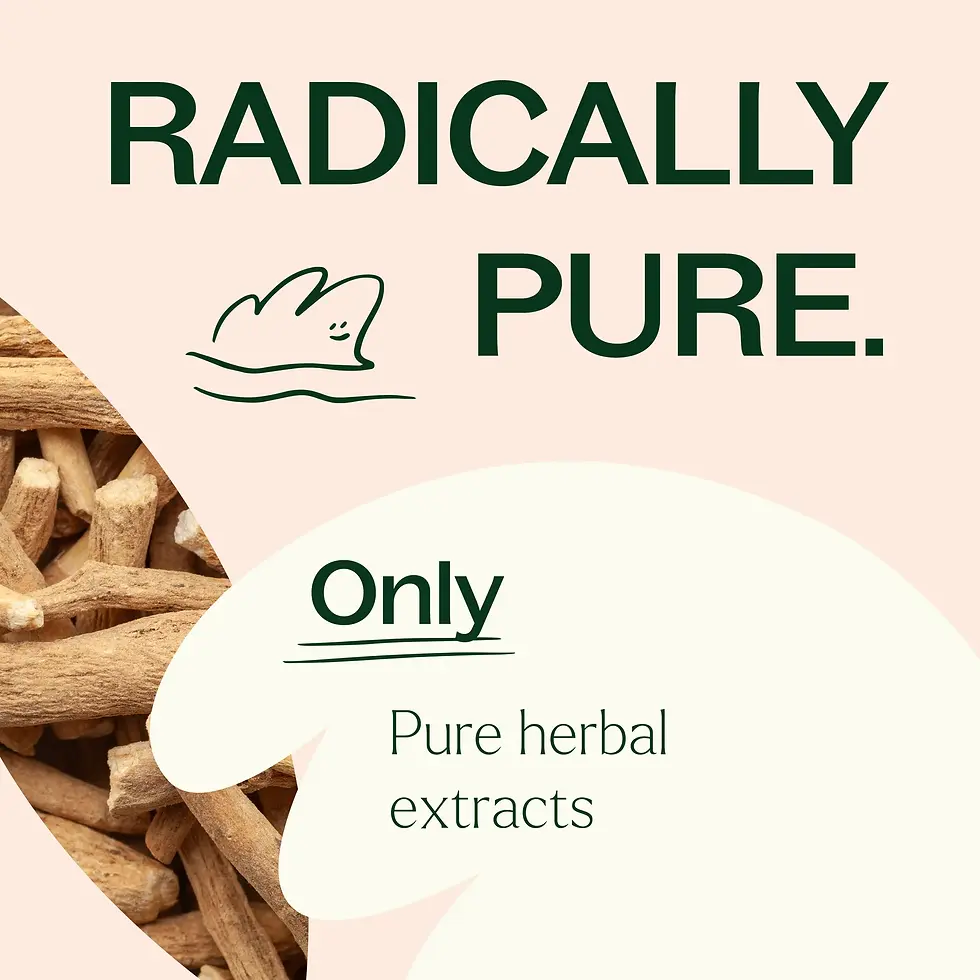 Thumbnail: Plant Therapy Ashwagandha Herbal Supplement – The Natural Life Singapore