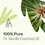 Thumbnail: Plant Therapy Fir Needle Essential Oil – 100% Pure & Natural | The Natural Life Singapore
