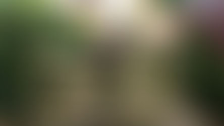 A Weekend In The Cotswolds