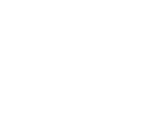 TE Icon White.png