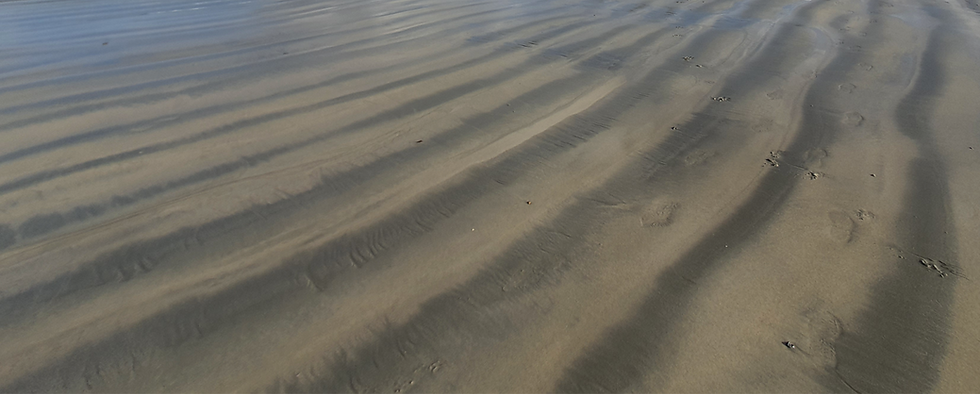 20211024_140512 (1)_edited_edited.png