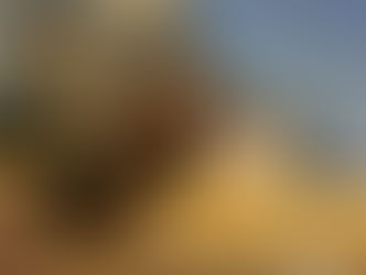 Путь чумака: новая ДахаБраха и её "Шлях"