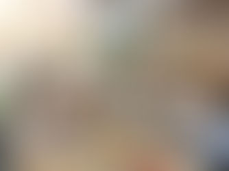 記帳士職業發展:證照取得後的人生選擇