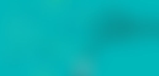 Siber Güvenlik 101 - Aktif Bilgi Toplama Teknikleri