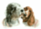 Pet Portrait of two dogs in sweaters