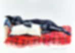 Black dog sleeping on a red plaid pet portrait commission