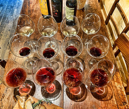 Degustazione al vinaino di Greve.jpeg