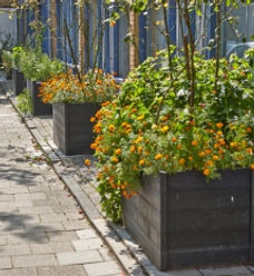 Pārstrādātas plastmasas puķu kaste Rotterdam.jpg