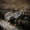 Miniaturbild: Ohrringe mit Herkimer Diamond und abnehmbarer Quaste