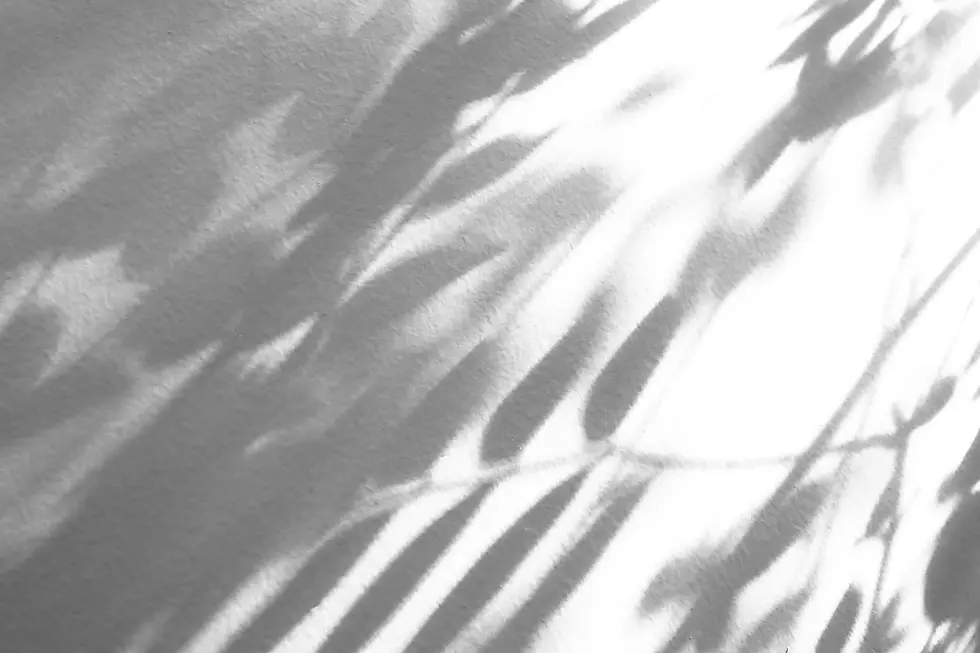 Dappled Leaves Light