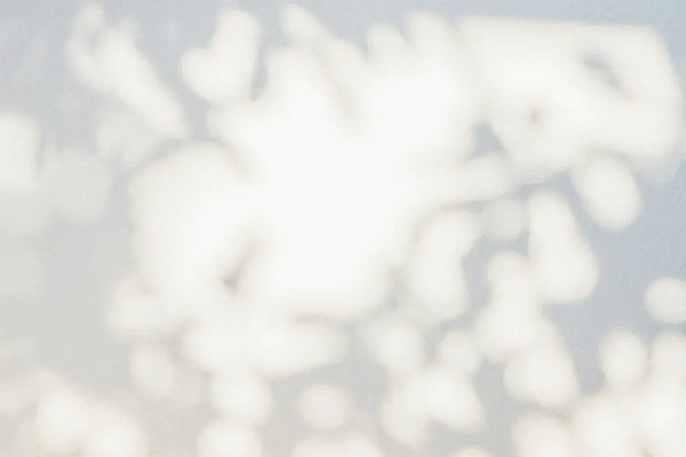 Background shadows.webp