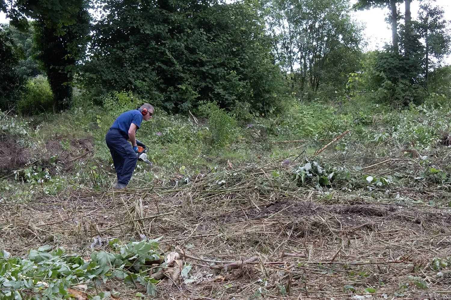 Kilmac staff clearing ground at Maryfield Tram Depot