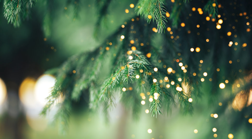 AdobeStock_372953356.jpeg