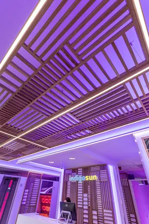 Indigo Sun reception